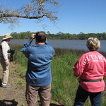 F8a- Great Florida Birding and Wildlife Trail
